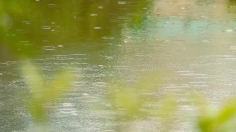 Raindrops falling in the pond on a rainy day Stock Footage 254170711