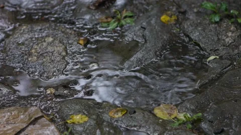 Raindrops falling in the pool. Raining outside with splashes falling on pave Stock Footage 171062045