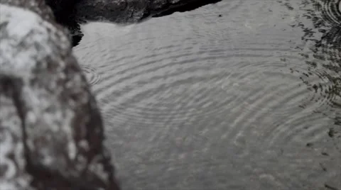 Raindrops falling on the puddle 100fps 1080p Stock Footage 52822727