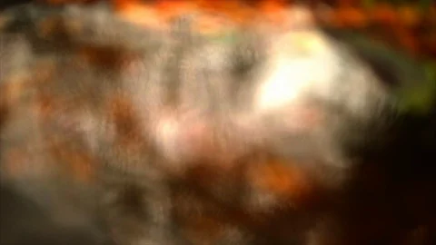 Raindrops falling into a puddle in autumn. Stock Footage 88406873