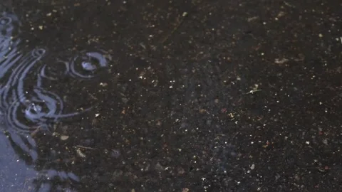 Raindrops Falling into Puddle Creating Circles on Dark Asphalt Surface Stock Footage 341343480