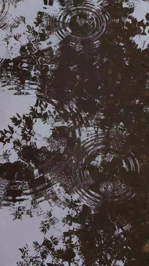 Raindrops falling into puddle creating ripples. vertical. Stock-Footage 333286819
