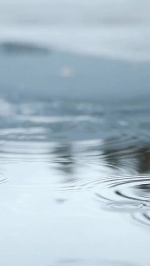 Raindrops falling into puddle creating ripples on water surface Video stock 334170295
