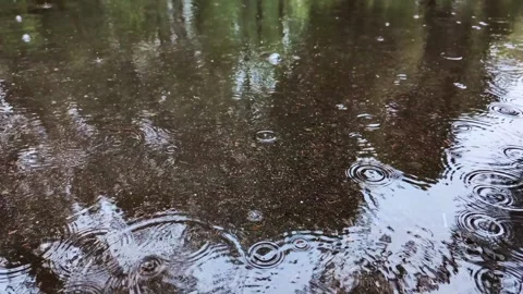 Raindrops falling into a puddle on dark ground creating ripples and concentric 库存影片 347579927