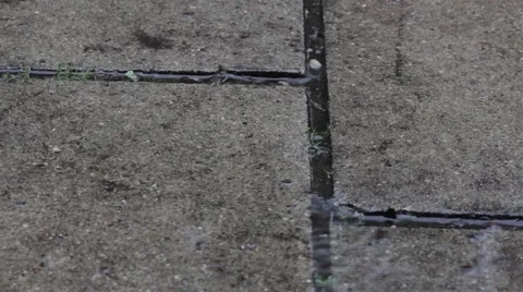 Raindrops falling in a puddle during thunderstorm Stock Footage 41980389