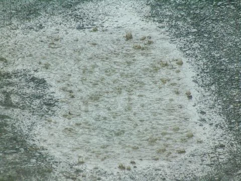 Raindrops falling into a puddle during a torrential downpour Foto stock