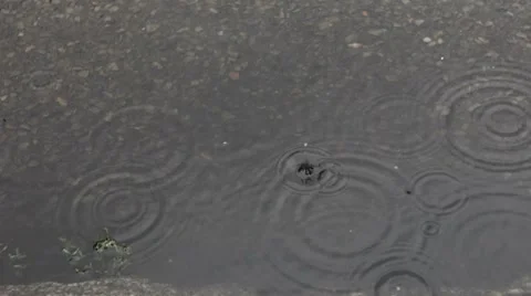 Raindrops falling in puddle Stock Footage 8578614