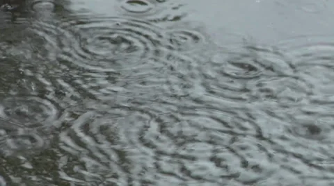 Raindrops falling into a puddle Stock Footage 34418822