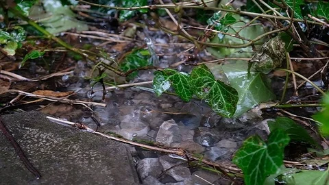 Raindrops falling in a puddle Stock Footage 126814684