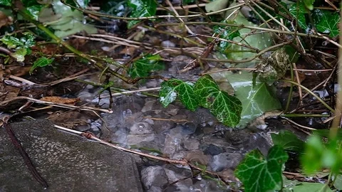 Raindrops falling in a puddle Stock Footage 126814963
