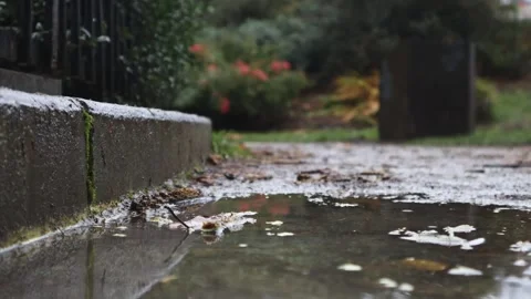 Raindrops falling into puddle in outdoor park Stock Footage 294831043