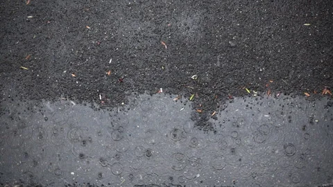 Raindrops falling on the puddle of a pavement Stock Footage 336439028
