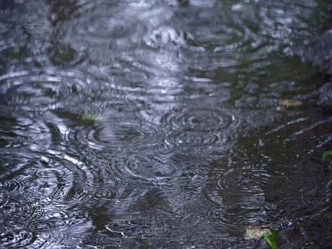 Raindrops falling in a puddle slow mo Stockbeeldmateriaal 76926830