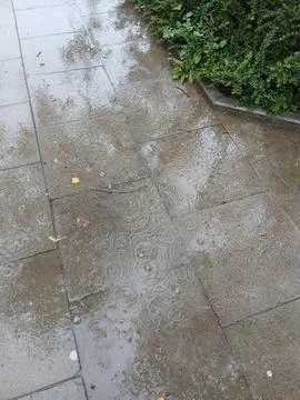 Raindrops falling into a puddle on a stone pavement Stock Photos
