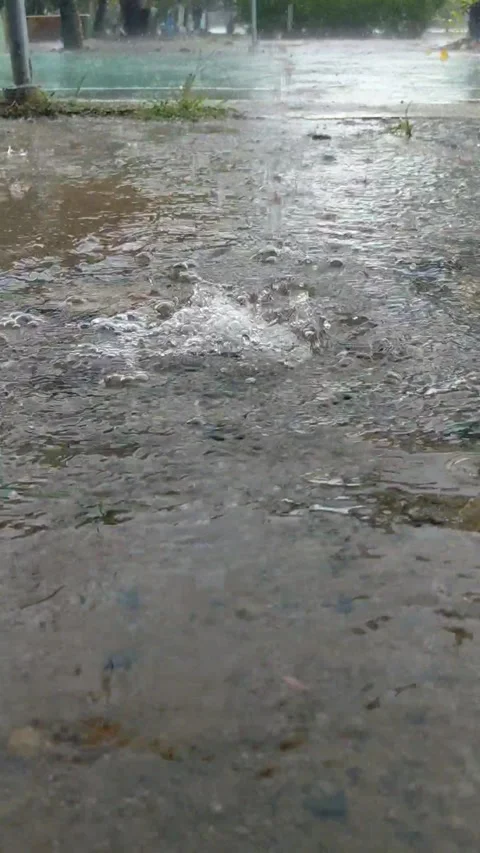 Raindrops falling on a puddle of water Stock Footage 333690810