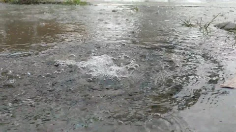 Raindrops falling on a puddle of water Stock Footage 333690811