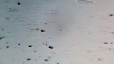 Raindrops falling into puddles look beautiful Stock Footage 310008921