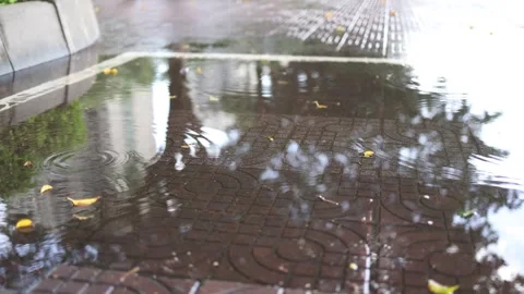 Raindrops falling into puddles on a wet tiled sidewalk during a light storm Video stock 341941321
