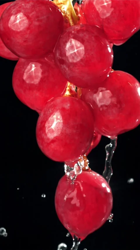 Raindrops falling on red grapes on black background. Filmed on a high-speed Stock Footage 335305135