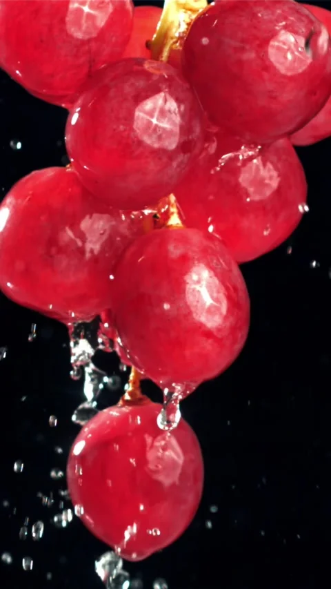Raindrops falling on red grapes on black background. Filmed on a high-speed Stock Footage 335313535