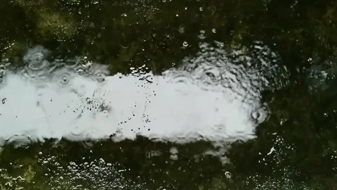 Raindrops falling on the road Stock Footage 220005962