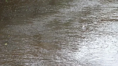 Raindrops falling on the road Stock Footage 308394584