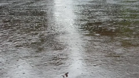 Raindrops falling on the road Stock Footage 308394598