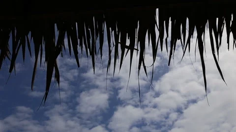 Raindrops falling from the roof Vidéo 48279817