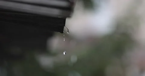 Raindrops falling from the roof Stock Footage 153402534