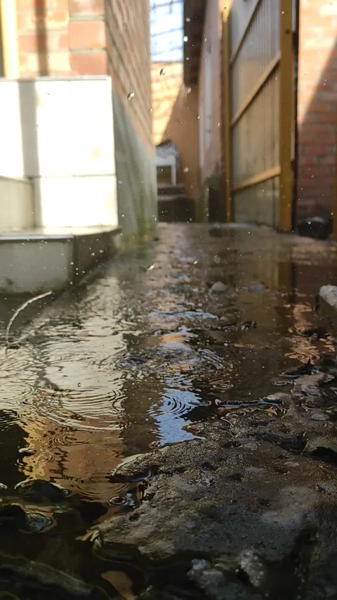 Raindrops falling from the roof when the snow melts Video stock 226363442