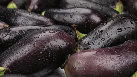 Raindrops falling on rotating eggplants. Close-up. 스톡 동영상 103036503