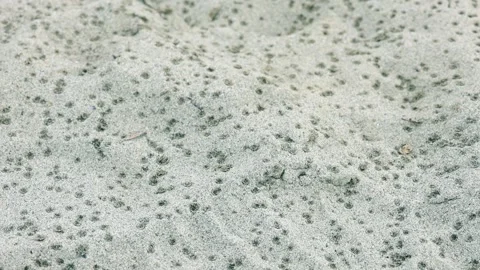 Raindrops falling on sand creating ripples and texture Video stock 317483062