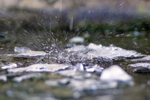 Raindrops Falling into Shallow Water Creating Splashes and Ripples 写真素材
