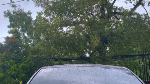 Raindrops falling on a silver car roof with green trees in the background Stock Footage 325975014