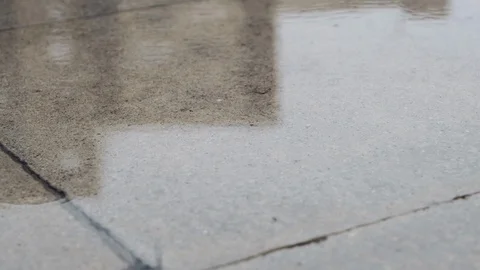Raindrops falling in slow motion on pavement in city on a rainy autumn day Stock Footage 116386391