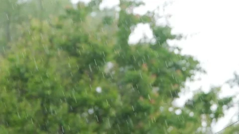 Raindrops falling in slow motion. Rain in slow motion. Raindrops close-up Video stock 261221085