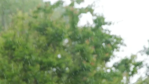 Raindrops falling in slow motion. Rain in slow motion. Raindrops close-up Stock Footage 262534318