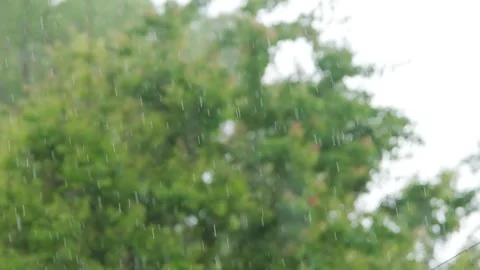 Raindrops falling in slow motion. Rain in slow motion. Raindrops close-up Stock Footage 262534330