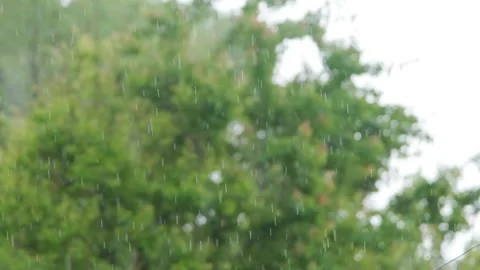 Raindrops falling in slow motion. Rain in slow motion. Raindrops close-up Stock Footage 262534369