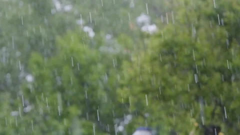 Raindrops falling in slow motion. Rain in slow motion. Raindrops close-up Stock-Footage 262770770