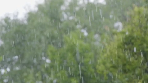 Raindrops falling in slow motion. Rain in slow motion. Raindrops close-up Stock Footage 264540802