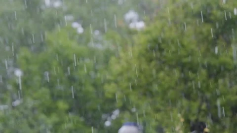 Raindrops falling in slow motion. Rain in slow motion. Raindrops close-up Stock Footage 264540911