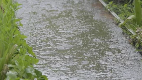 Raindrops falling on the slow motion road. Drops of rain fall on the sidewalk Stock Footage 262534067