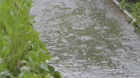 Raindrops falling on the slow motion road. Drops of rain fall on the sidewalk Stock Footage 262534081