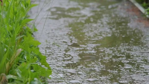 Raindrops falling on the slow motion road. Drops of rain fall on the sidewalk Stock Footage 262534163