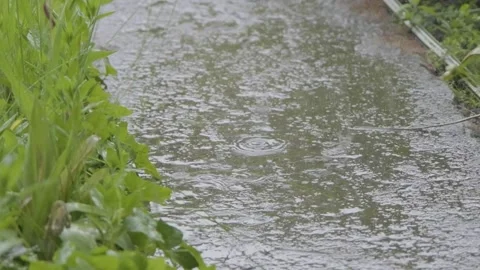 Raindrops falling on the slow motion road. Drops of rain fall on the sidewalk Stock-Footage 262770419