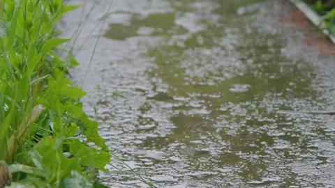 Raindrops falling on the slow motion road. Drops of rain fall on the sidewalk Stock Footage 264540834