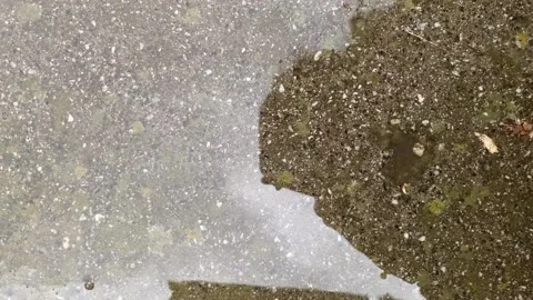 Raindrops falling into a small puddle on concrete Stock Footage 313942825