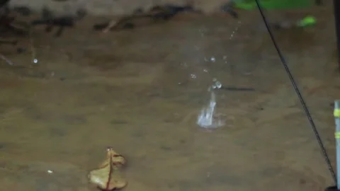 Raindrops falling into stagnant water Stock Footage 297344325