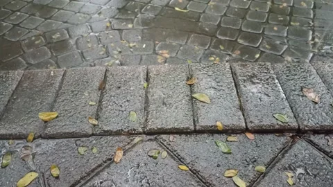 Raindrops falling on the stone floor 動画素材 197042430